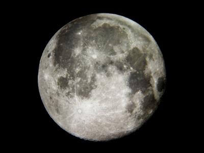 We like tha moon! We like tha moon!